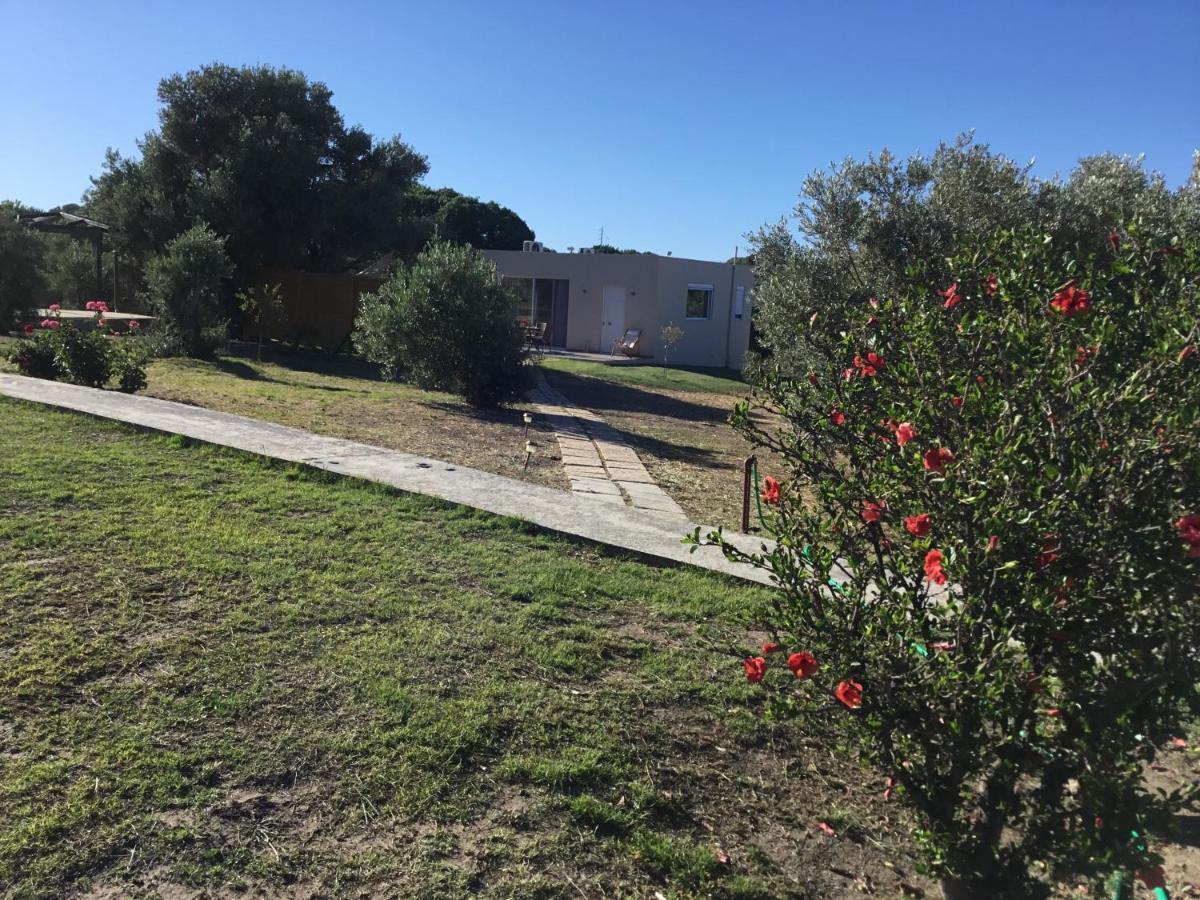Oikia Ampavris Villa Kos Exterior photo